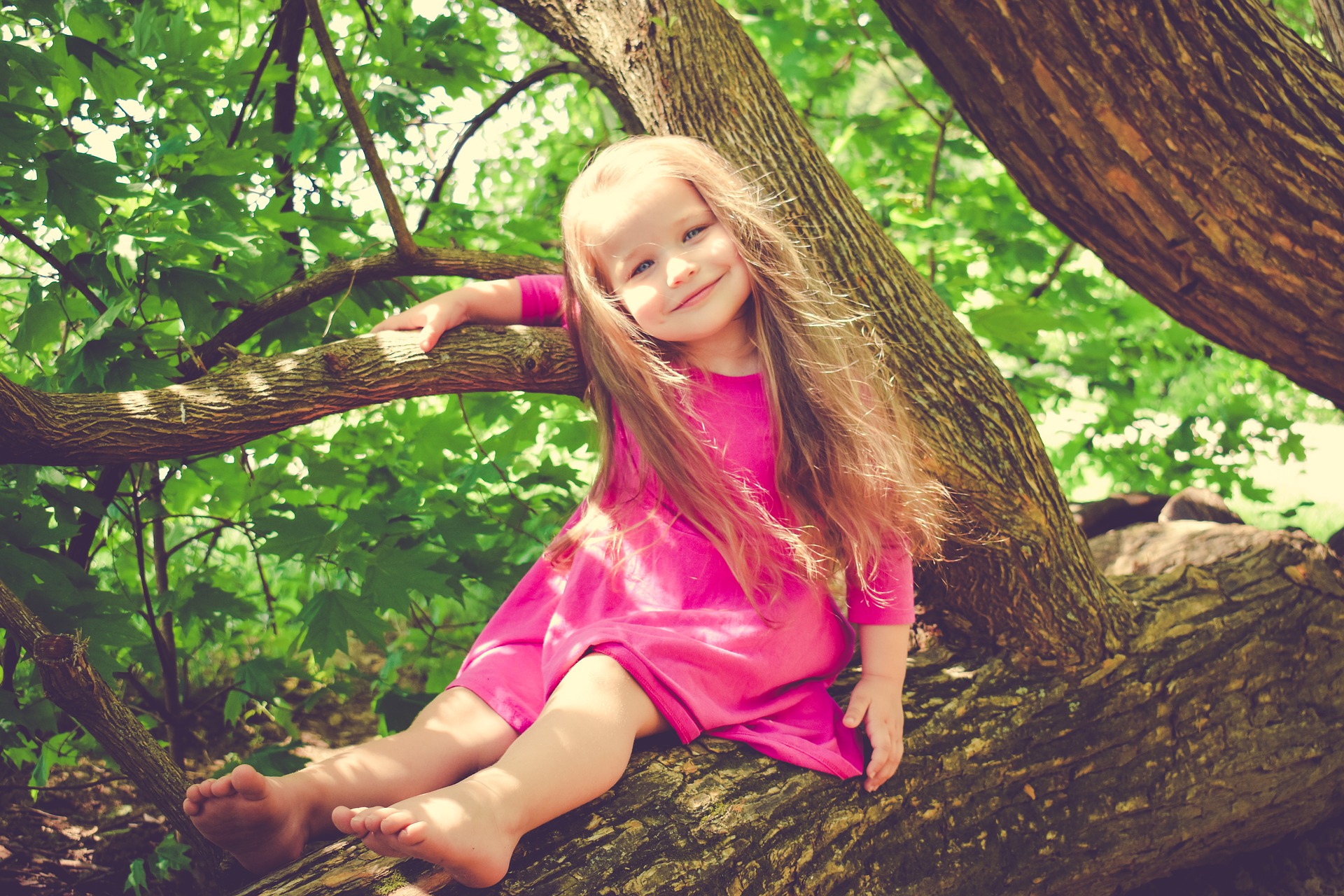 dítě na stromě